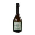 Copenhagen Sparkling Tea LYSEGRØN | Sencha - Green Tea - Citrus